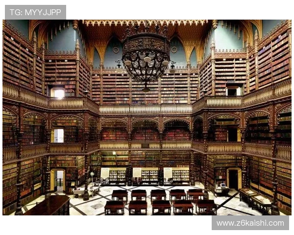 D88尊龙登录苹果版官网官方正版登录入口安全可靠性全面分析