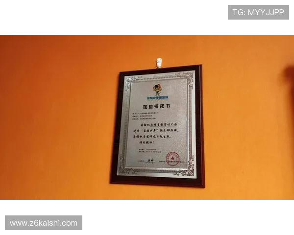 深入分析尊龙凯时官方网页的特点与用户评价