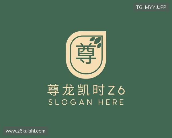 了解尊龙凯时z6